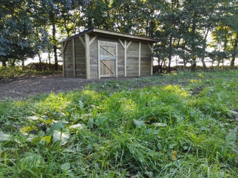 Boxe 3,00x6,00m mono pente